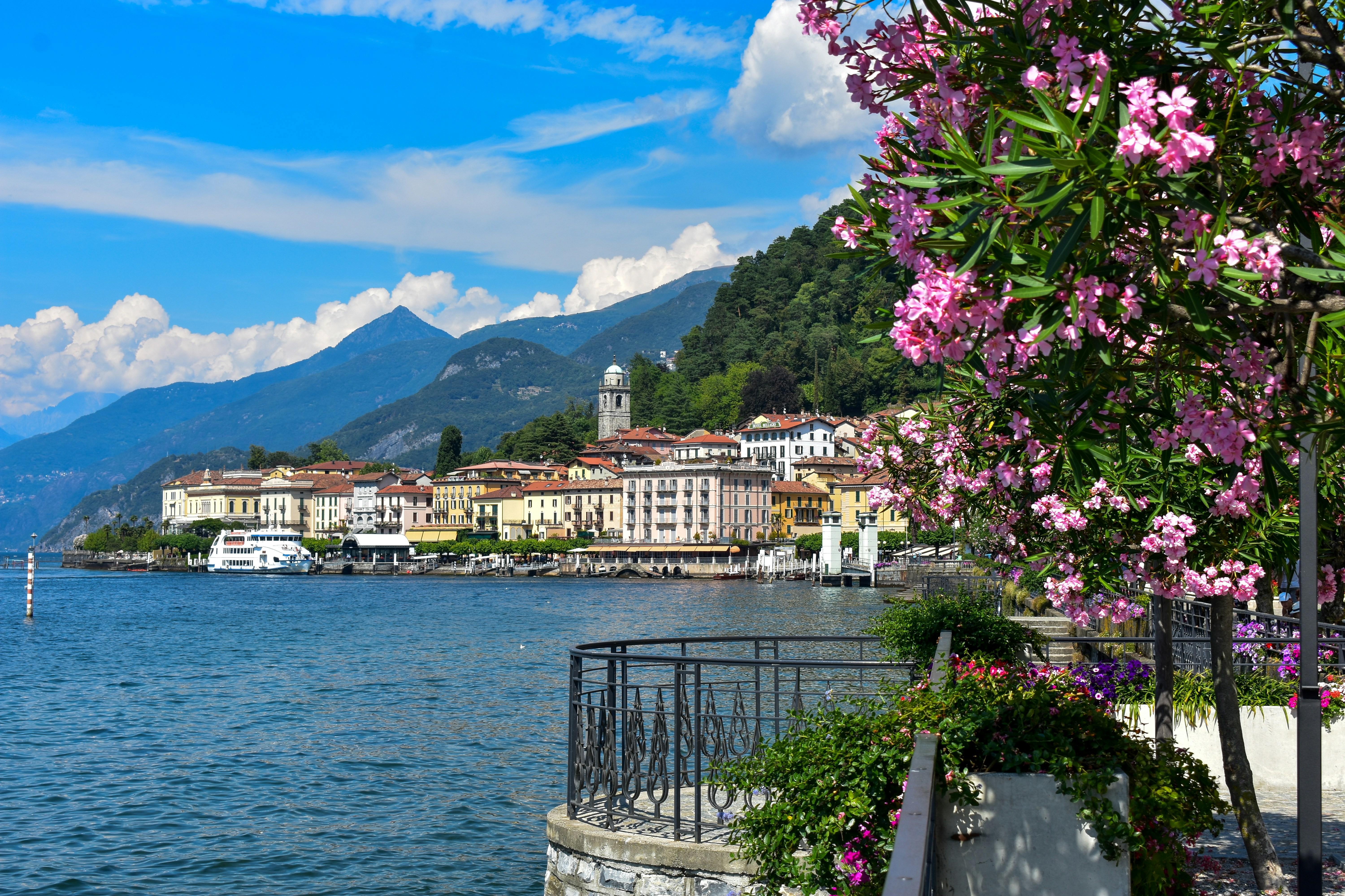 Lago di Como — Bellagio vista dal lungolago con oleandri rosa e monti sullo sfondo
